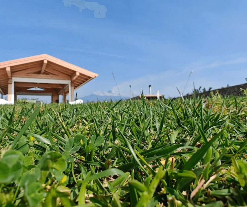 vista prato e tettoia della villa con piscina location per eventi ad acireale